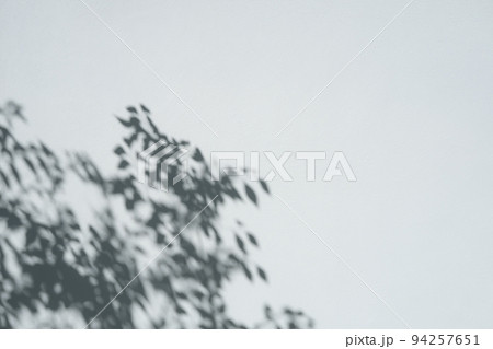 モルタル仕上げのコンクリート壁の左下に映る枝葉の影 寒色 ハード モルタル仕上げのコンクリート壁の左下に映る枝葉の影 寒色 ハード 94257651