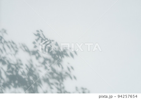 モルタル仕上げのコンクリート壁の左下に映る枝葉の影　寒色 ソフト 94257654