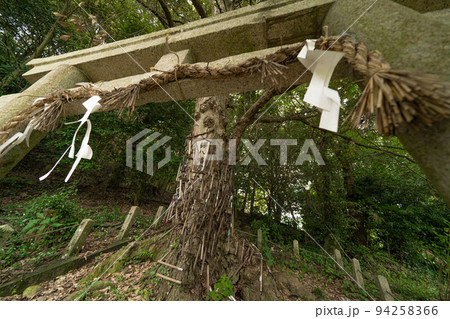 多くの鎌が刺されたご神木　鎌八幡宮 94258366