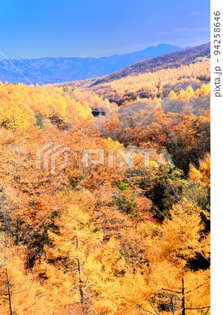 八千穂高原の紅葉 八千穂高原の紅葉 94258646