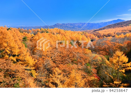 八千穂高原の紅葉 八千穂高原の紅葉 94258647