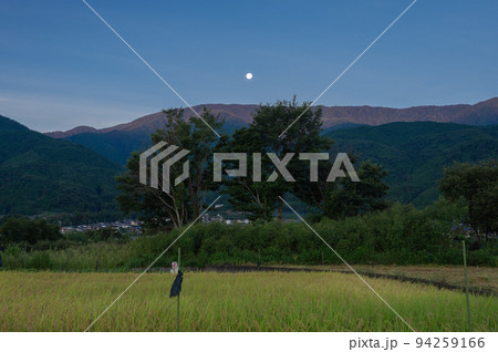 夜明けの里山 94259166