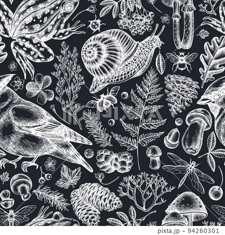 Mysterious forest seamless pattern background design. Engraved style. Hand drawn waxwing, snail, pool frog, moss, spruce branch, pine cones, mushrooms, insect, porcini, oak, rowan, clover, fern. Mysterious forest seamless pattern background design. Engraved style. Hand drawn waxwing, snail, pool frog, moss, spruce branch, pine cones, mushrooms, insect, porcini, oak, rowan, clover, fern. 94260301