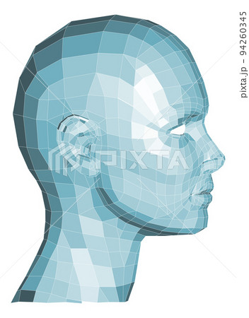 Face Wireframe 3D Technology Concept Face Wireframe 3D Technology Concept 94260345