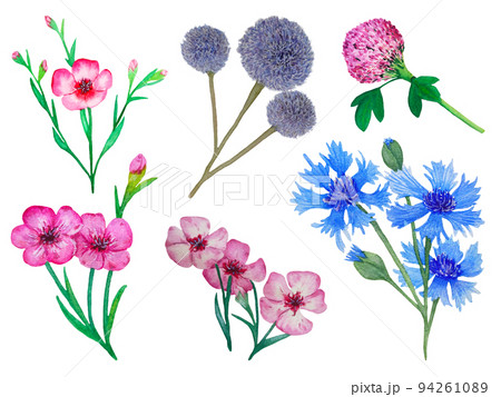 set of watercolor flowers 94261089