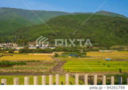 上市之瀬の棚田風景 南アルプス市の原風景 上市之瀬の棚田風景 南アルプス市の原風景 94261799