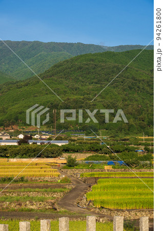 上市之瀬の棚田風景 南アルプス市の原風景 上市之瀬の棚田風景 南アルプス市の原風景 94261800