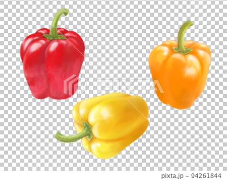 彩色辣椒粉逼真水彩插圖集 彩色辣椒粉逼真水彩插圖集 94261844