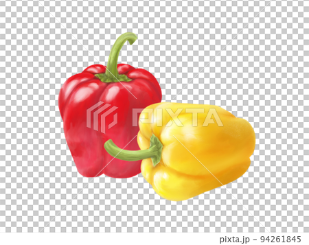 重疊彩色辣椒粉的逼真水彩插圖 94261845