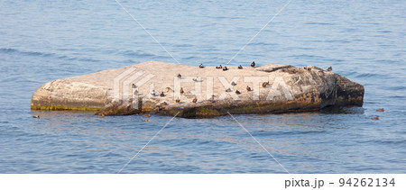 World war two bunker in the water, Denmark 94262134