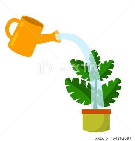 Care for house plant. Pot with flower 94262694