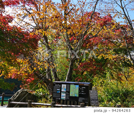 五色沼　福島県　紅葉 94264263