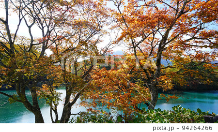 五色沼 福島県 紅葉 五色沼 福島県 紅葉 94264266