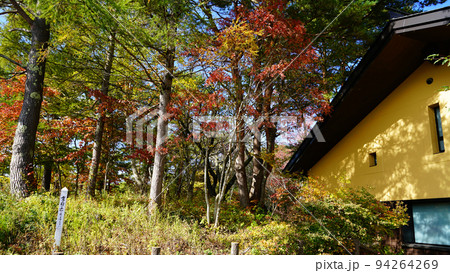 五色沼 福島県 紅葉 五色沼 福島県 紅葉 94264269