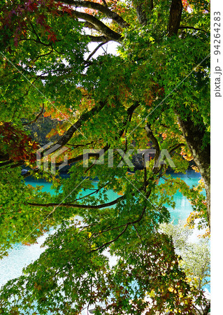五色沼　福島県　紅葉 94264283