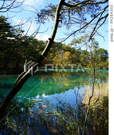 五色沼 福島県 紅葉 五色沼 福島県 紅葉 94264305