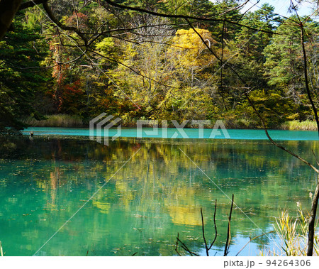 五色沼 福島県 紅葉 五色沼 福島県 紅葉 94264306