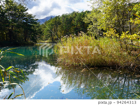 五色沼 福島県 紅葉 五色沼 福島県 紅葉 94264313