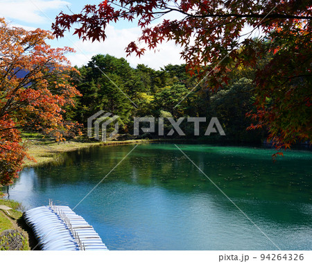 五色沼　福島県　紅葉 94264326