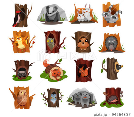 Forest Animals Sitting in Tree Hollow and Burrow as Woodland Home Vector Set Forest Animals Sitting in Tree Hollow and Burrow as Woodland Home Vector Set 94264357