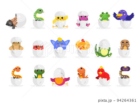 Cute Newborn Animals Hatching Sitting in Cracked Eggshell Vector Set 94264361