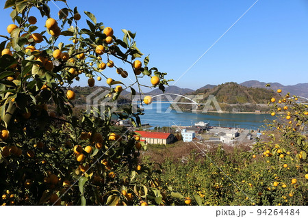 瀬戸内レモン 94264484