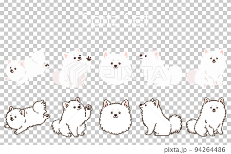 有和沒有主線的簡單可愛的白色斯皮茨插圖集 94264486