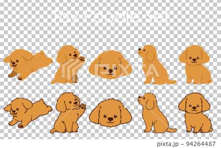 帶/不帶主線的簡單可愛玩具貴賓犬插圖集 94264487