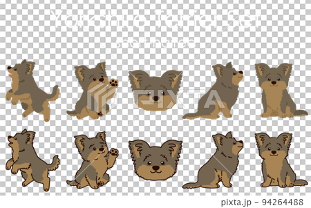 Simple and cute Yorkshire Terrier illustration set with/without main line Simple and cute Yorkshire Terrier illustration set with/without main line 94264488