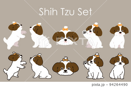 シンプルで可愛いシーズーのイラストセット 主線あり なしのイラスト素材