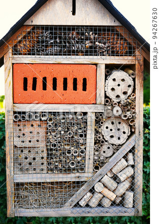 insect hotel. wooden insect house hanging from tree insect hotel. wooden insect house hanging from tree 94267630