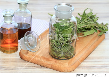 Making tincture from dried Scutellaria lateriflora, known as  blue skullcap or mad dog skull cap 94268293