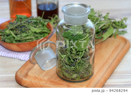 Making tincture from dried Scutellaria lateriflora, known as  blue skullcap or mad dog skull cap 94268294