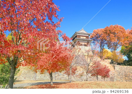 上田城の紅葉 上田城の紅葉 94269136