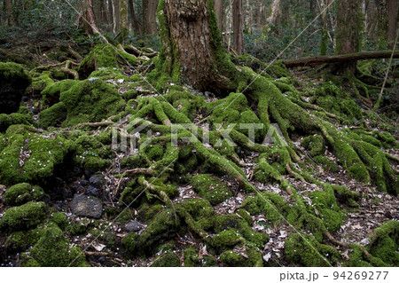 青木ヶ原 94269277