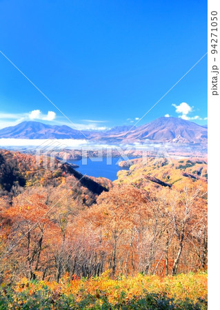 斑尾山より望む紅葉の野尻湖と北信五岳 94271050