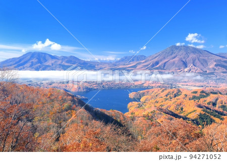 斑尾山より望む紅葉の野尻湖と北信五岳 94271052