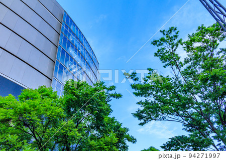 【東京の都市風景】豊洲周辺の都市風景 94271997
