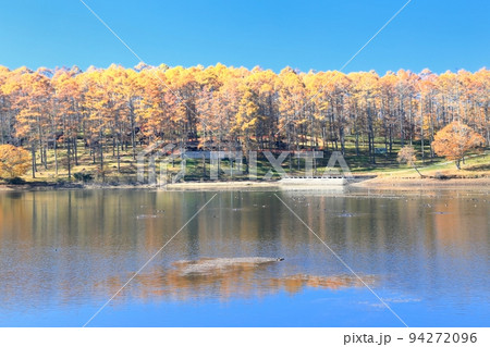 飯綱高原・大座法師池の紅葉 飯綱高原・大座法師池の紅葉 94272096