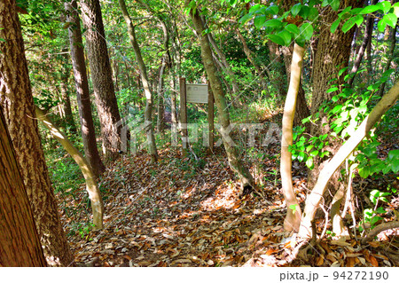 近江国「横山城」の曲輪と眺望 小谷城・伊吹山を望む 近江国「横山城」の曲輪と眺望 小谷城・伊吹山を望む 94272190