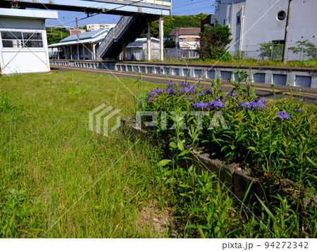 上総興津駅の五月 上総興津駅の五月 94272342