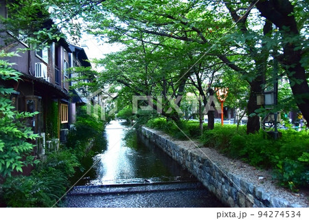 京都市 高瀬川沿い(木戸町通)の夏景色 京都市 高瀬川沿い(木戸町通)の夏景色 94274534