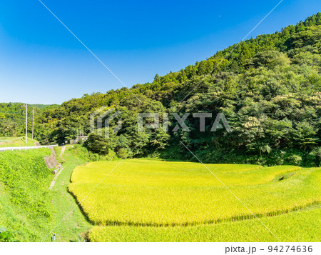 北関東の実りの景色 収穫間近の石畑の棚田 栃木県茂木町 北関東の実りの景色 収穫間近の石畑の棚田 栃木県茂木町 94274636