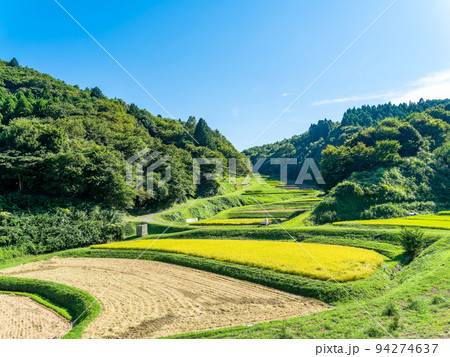 北関東の実りの景色 収穫間近の石畑の棚田 栃木県茂木町 北関東の実りの景色 収穫間近の石畑の棚田 栃木県茂木町 94274637