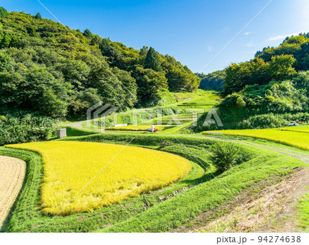 北関東の実りの景色 収穫間近の石畑の棚田 栃木県茂木町 北関東の実りの景色 収穫間近の石畑の棚田 栃木県茂木町 94274638