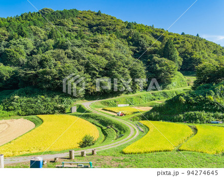 北関東の実りの景色 収穫間近の石畑の棚田 栃木県茂木町 北関東の実りの景色 収穫間近の石畑の棚田 栃木県茂木町 94274645