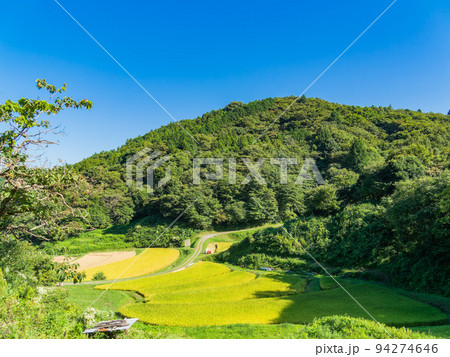 北関東の実りの景色 収穫間近の石畑の棚田 栃木県茂木町 北関東の実りの景色 収穫間近の石畑の棚田 栃木県茂木町 94274646