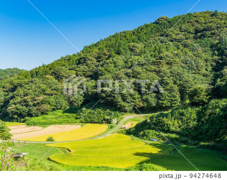 北関東の実りの景色 収穫間近の石畑の棚田 栃木県茂木町 北関東の実りの景色 収穫間近の石畑の棚田 栃木県茂木町 94274648