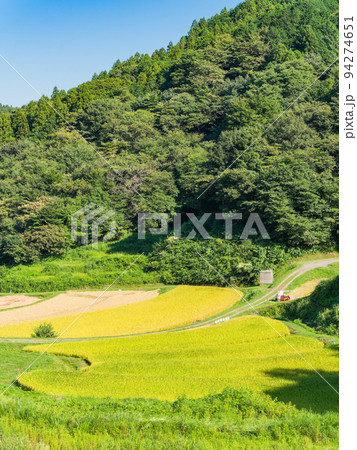 北関東の実りの景色 収穫間近の石畑の棚田 栃木県茂木町 北関東の実りの景色 収穫間近の石畑の棚田 栃木県茂木町 94274651