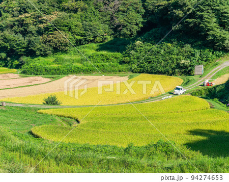 北関東の実りの景色　収穫間近の石畑の棚田　栃木県茂木町 94274653